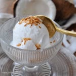 Easy 3 ingredient coconut ice cream recipe.