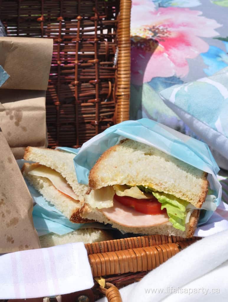 What To Bring On A Picnic Life is a Party