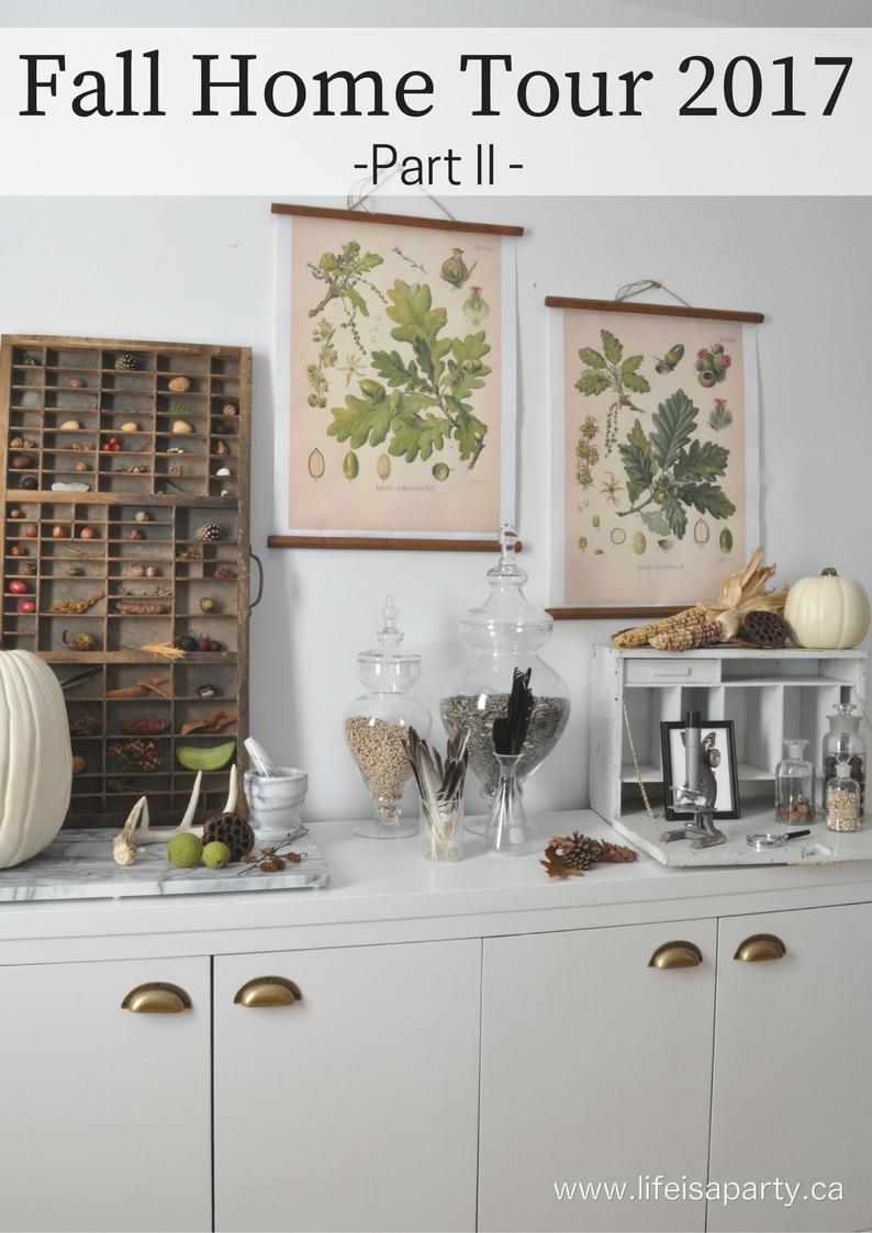 Fall Home Tour -Vintage fall decor, botanicals, scientific decor and lots of natural elements to bring the outdoors in and celebrate the changing season.
