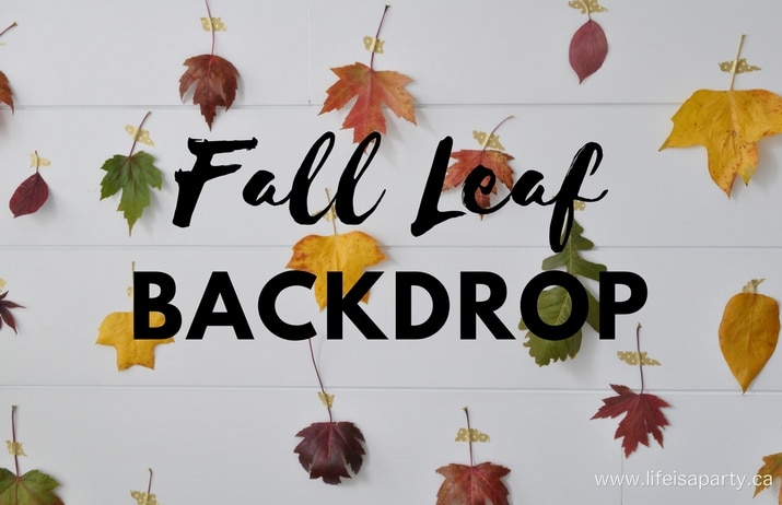 How To Make A Fall Leaf Backdrop -use real leaves and washi table to make an inexpensive stunning fall backdrop for your fall entertaining!