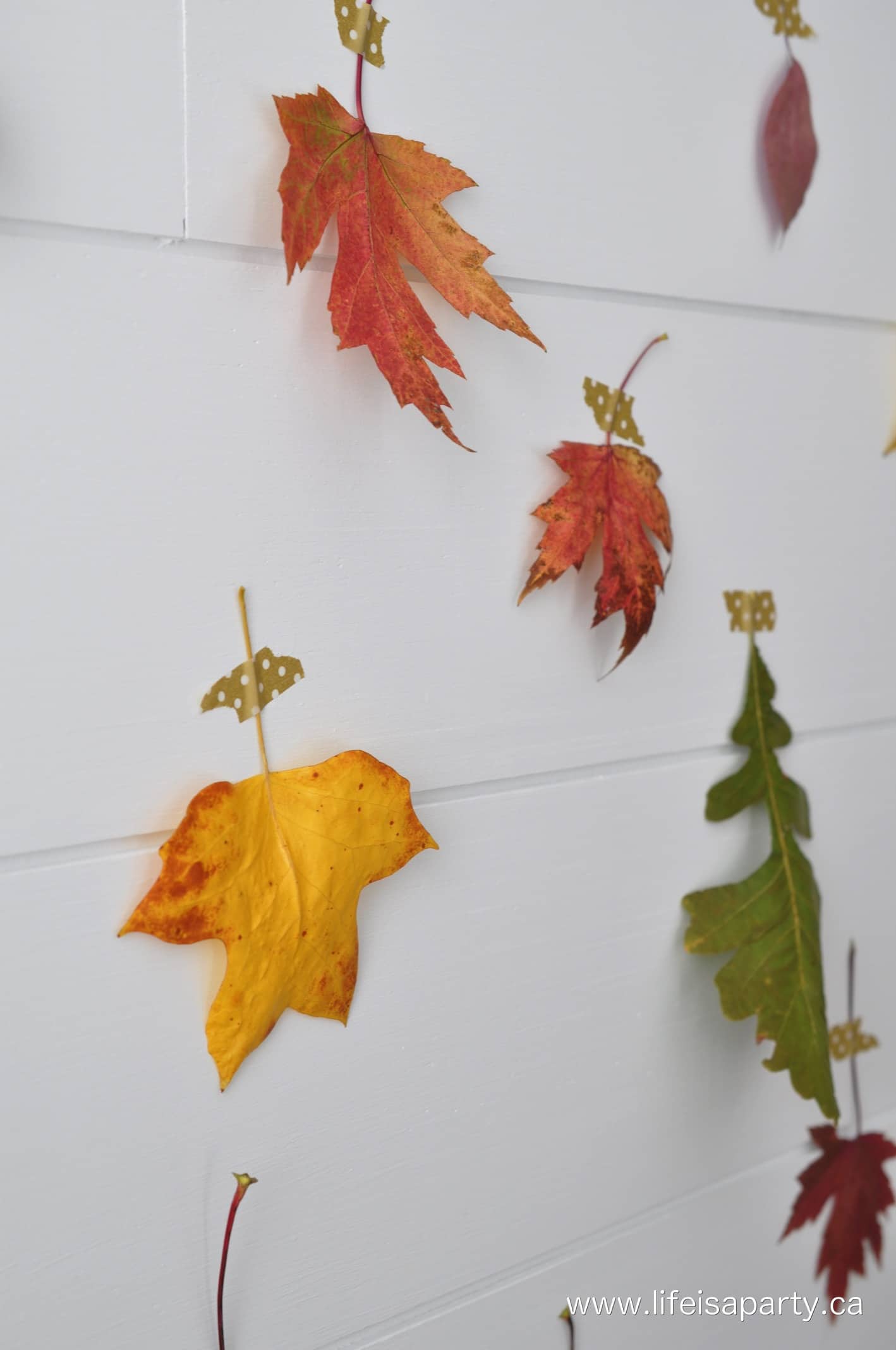 how to make a fall backdrop