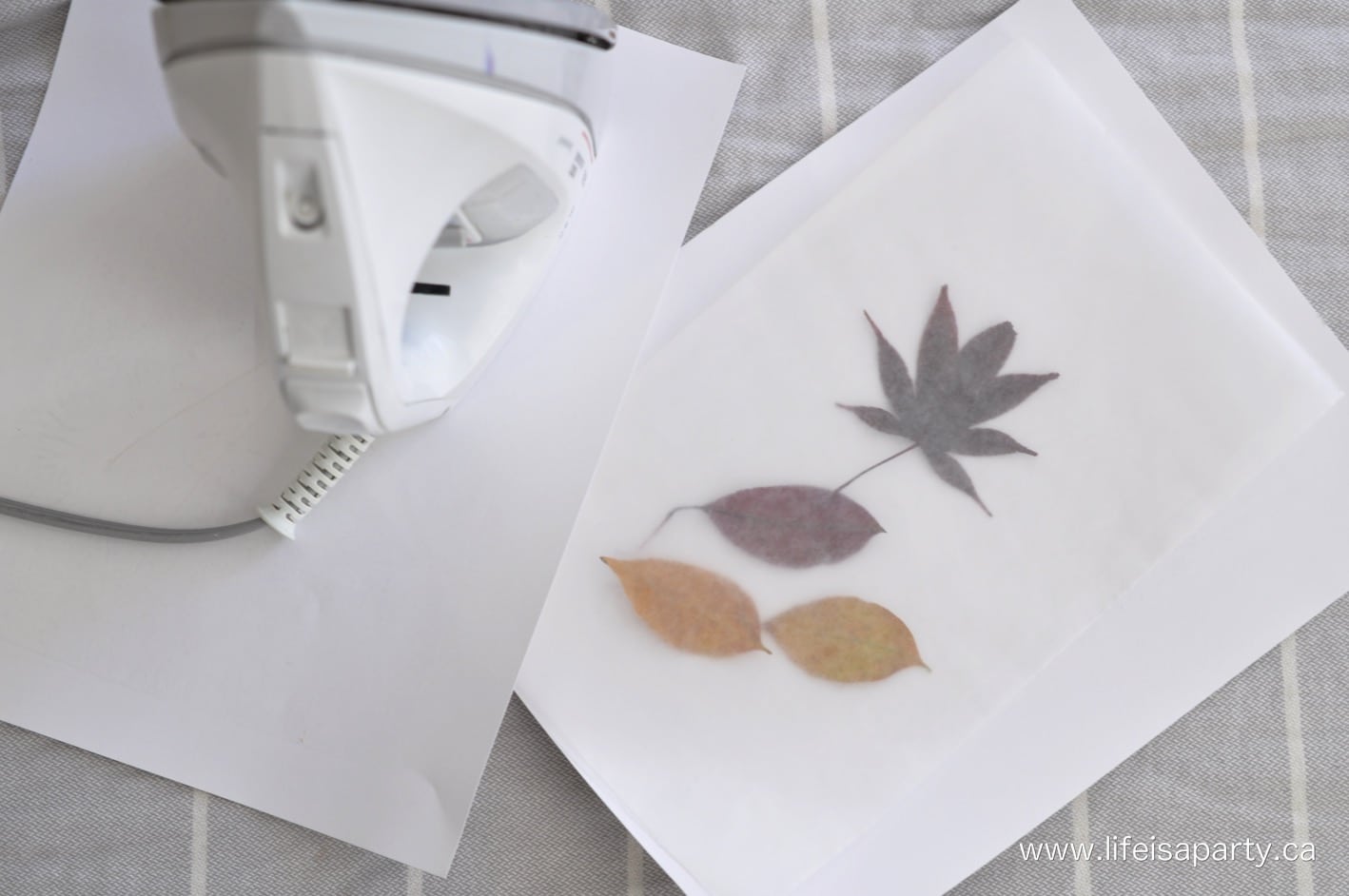 how to wax fall leaves to preserve them