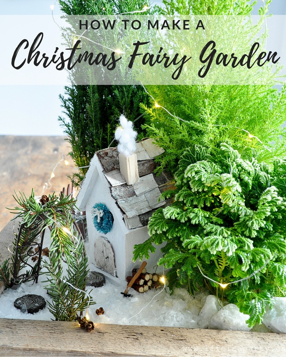 Christmas Fairy Garden