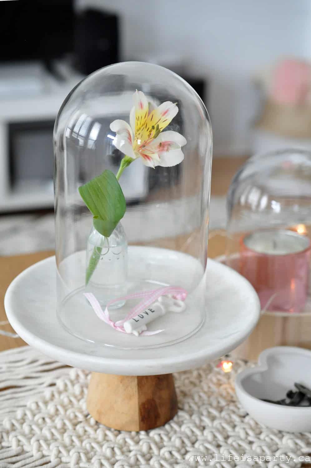 glass cloche with flower