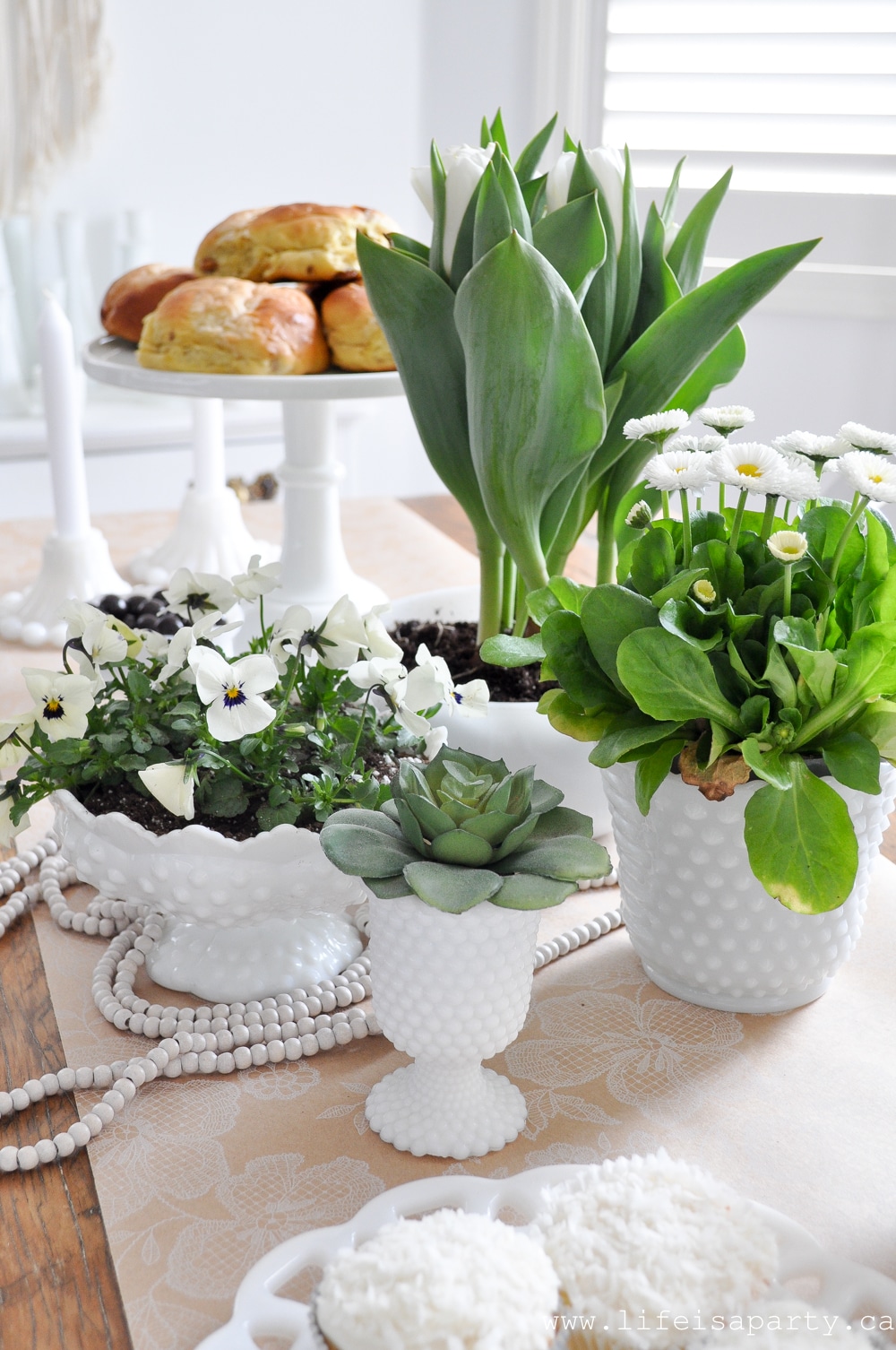 use vintage Milk Glass Collection for planting spring flowers and bulbs