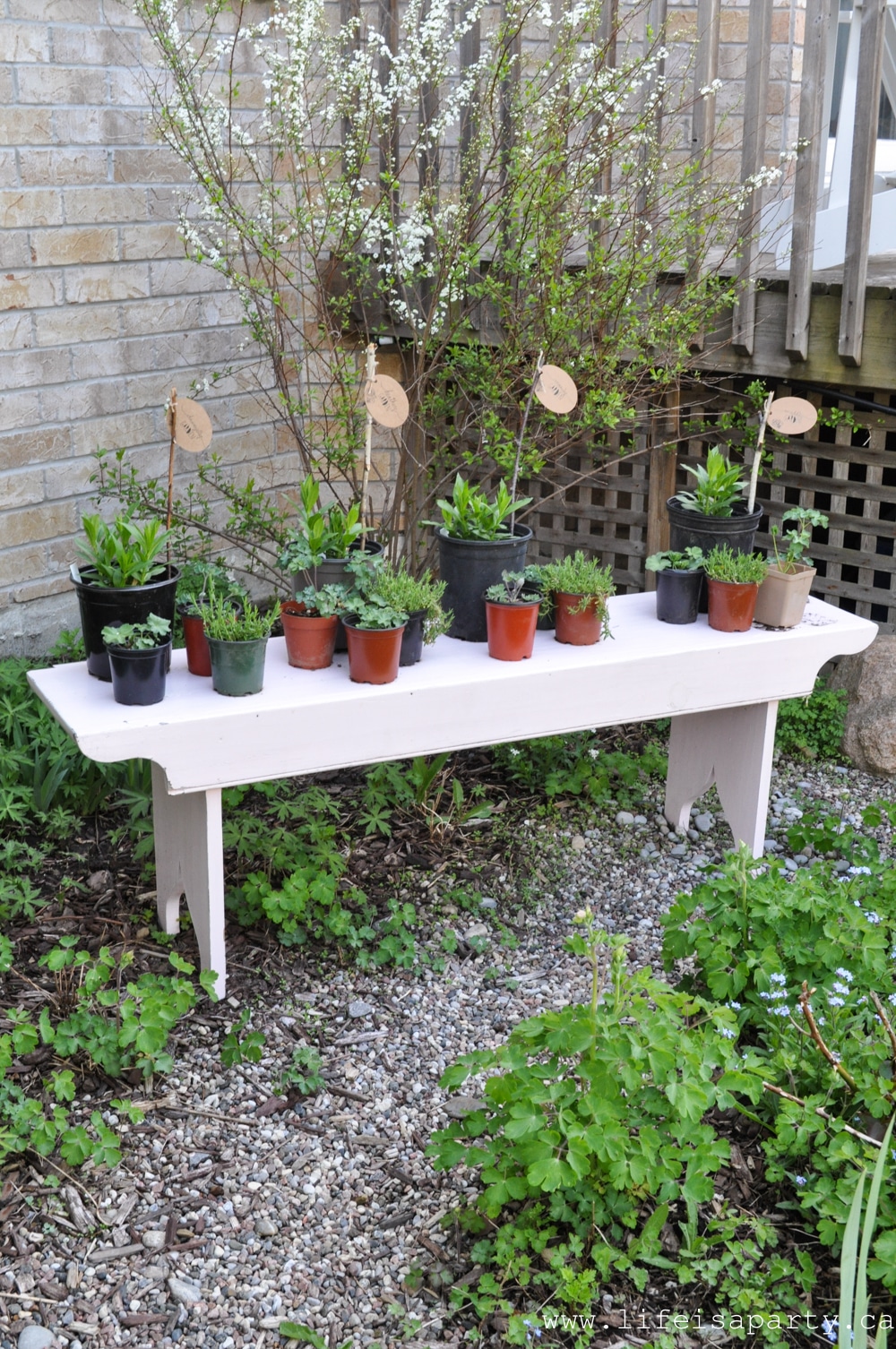 Tea Party and Plant Exchange: celebrate the beginning of gardening season with a plant exchange and tea party. Everyone brings a plant for everyone else from their garden, followed by a tea party together to celebrate the love of gardening.