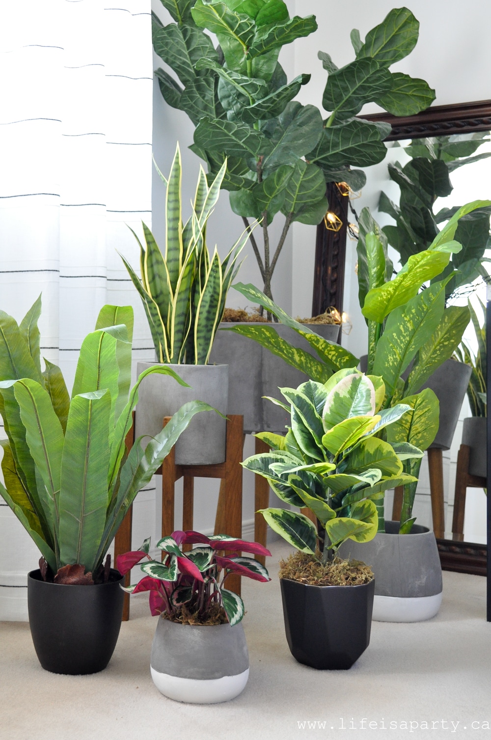 faux house plant grouping
