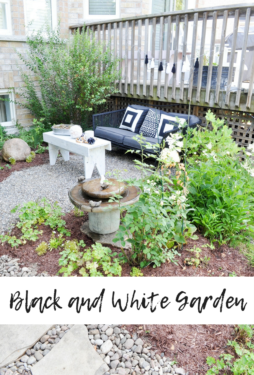 Black and White Garden