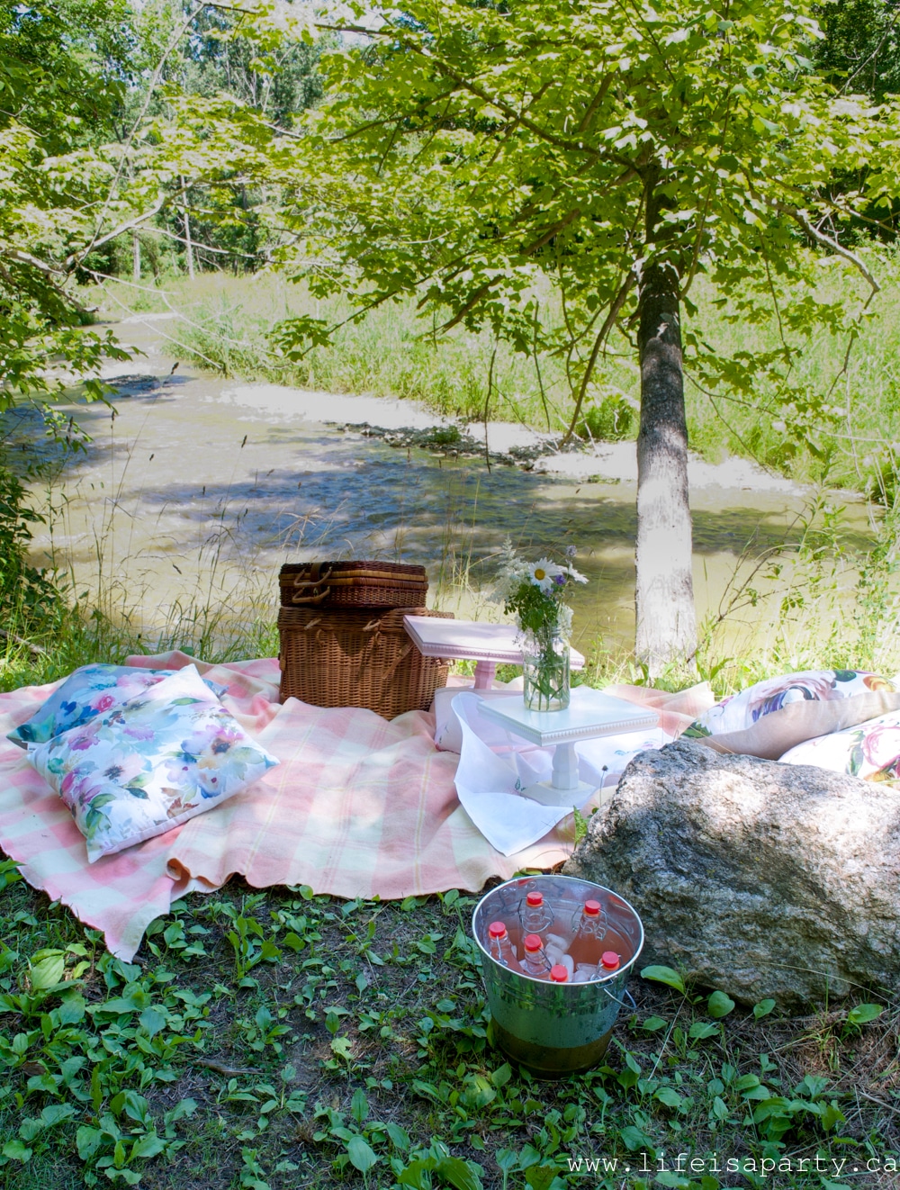setting up a picnic beside a river