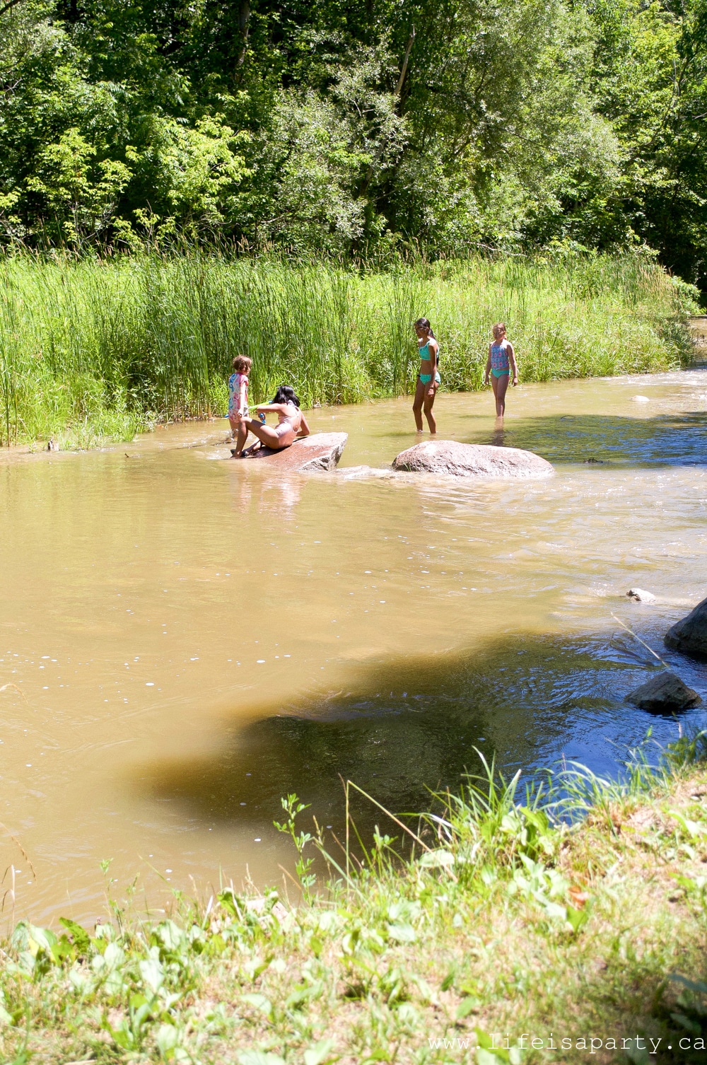 playing the river during a picnic
