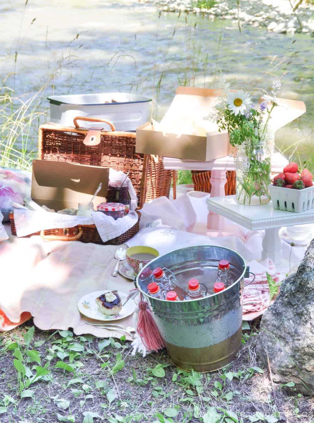 British inspired Picnic tea party