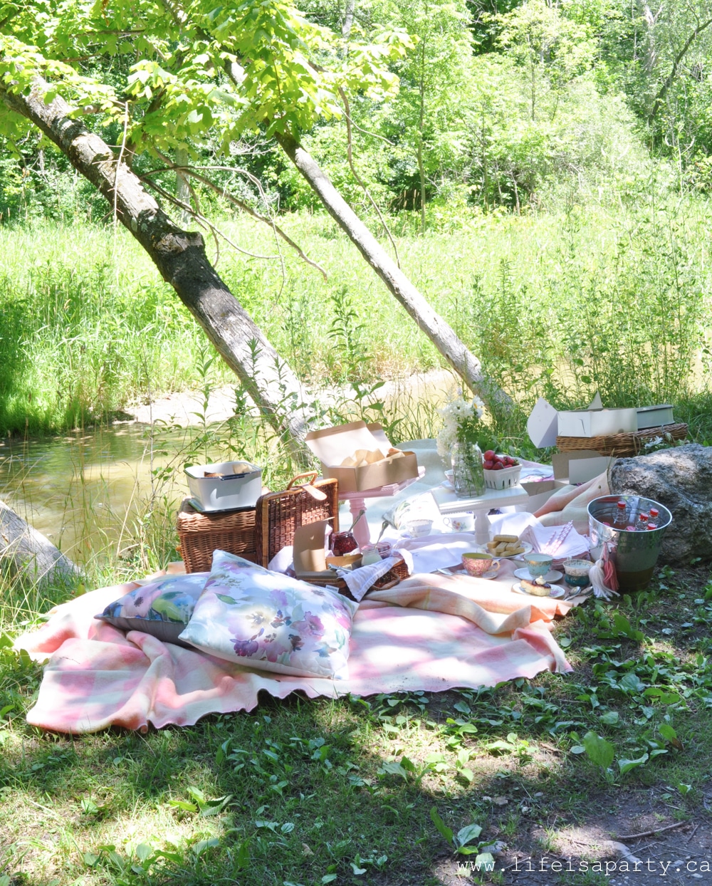 how to host a picnic