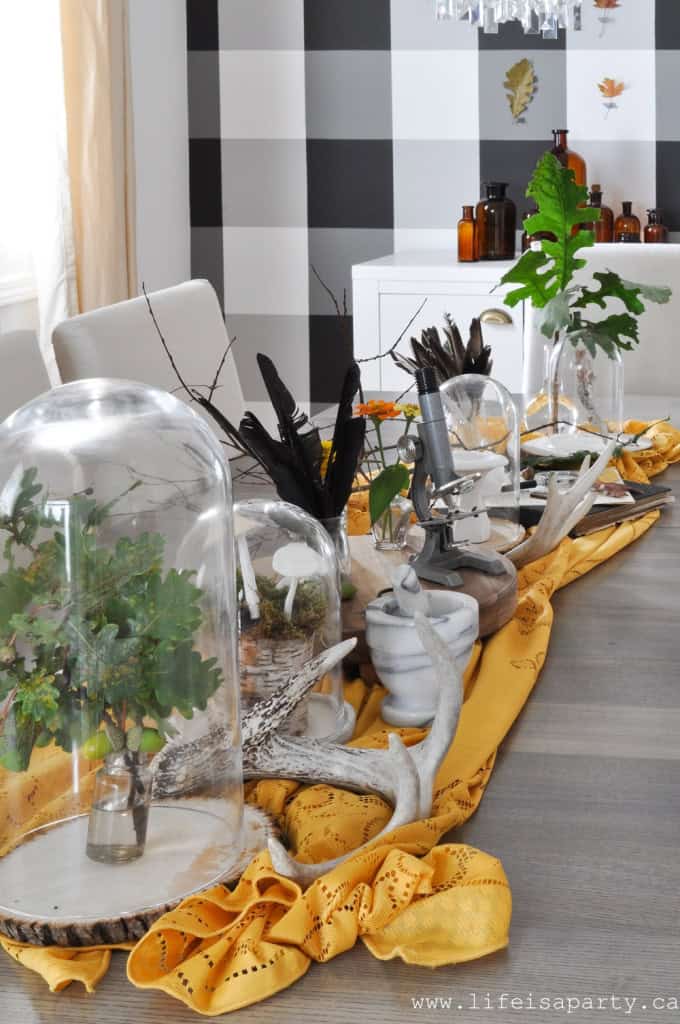 rustic-fall-home-tour-life-is-a-party