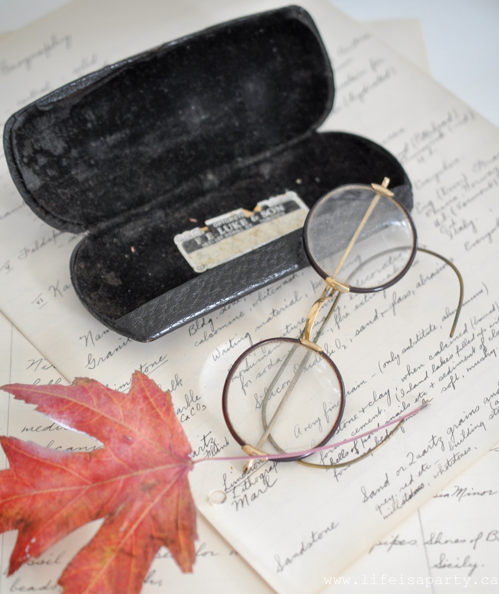 vintage spectacles glasses