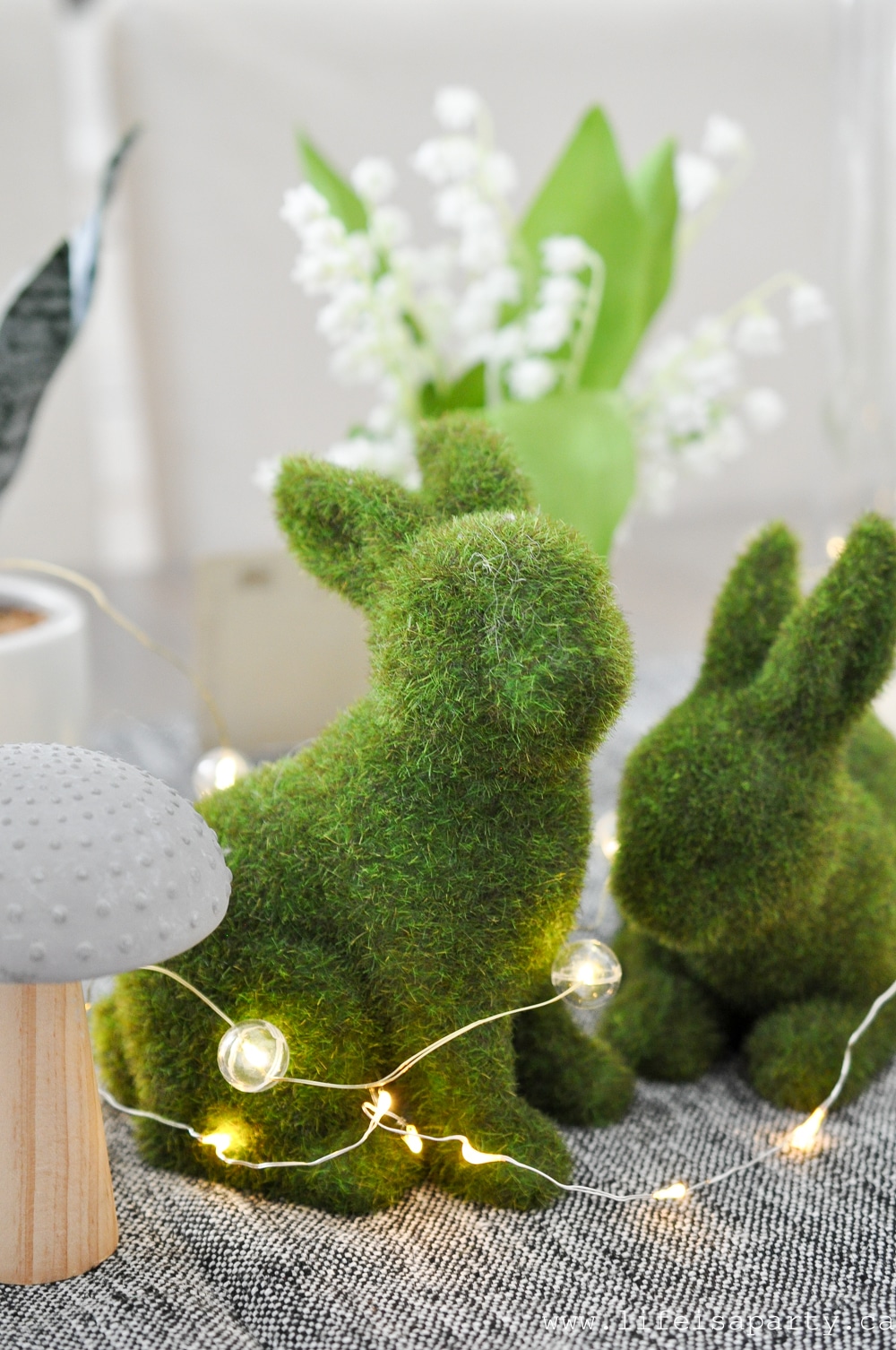 green moss rabbits