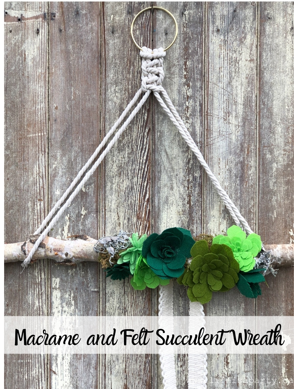 DIY Macrame and Felt Succulent Wreath: Easy Boho Wreath with Felt Succulents made with a Cricut, and simple Macrame hanger.