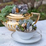 Teacup garden with small succulent plants and tiny DIY clay fairy houses and mushrooms.