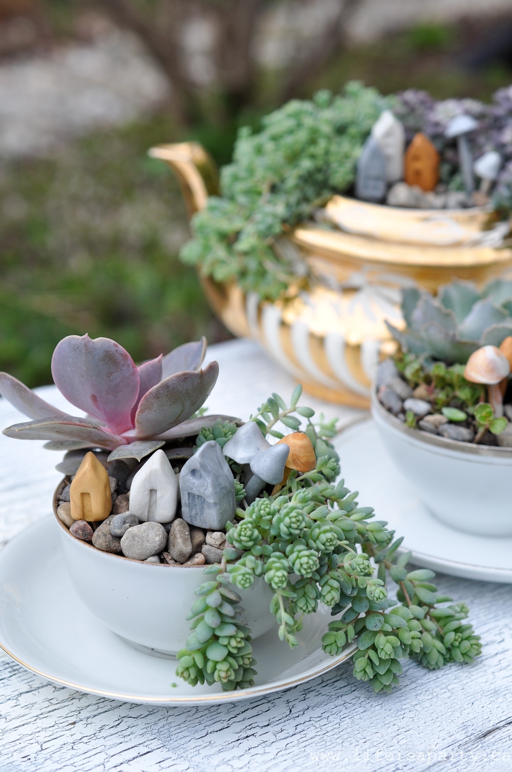 fairy garden in a teacup