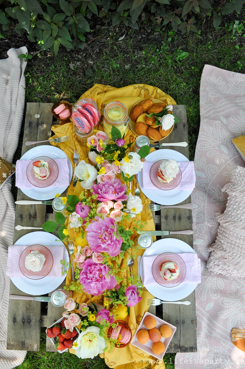how to host a picnic
