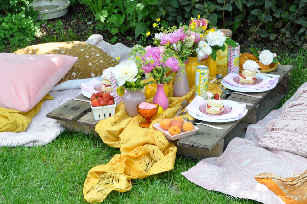 backyard pallet picnic