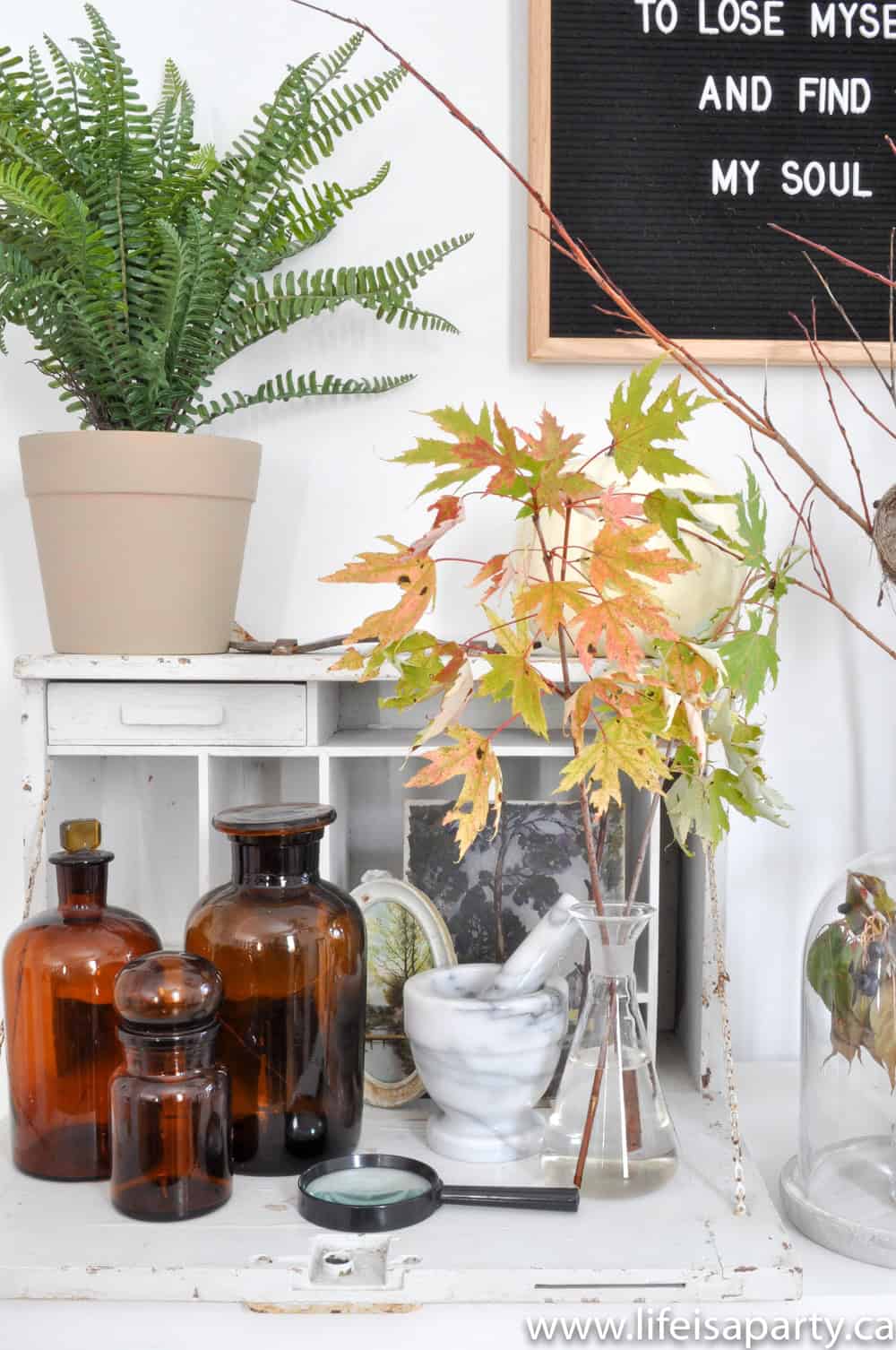 Vintage Botanical Scientific autumn decor ideas 