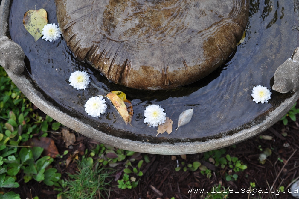 fall flowers in a garden fountain