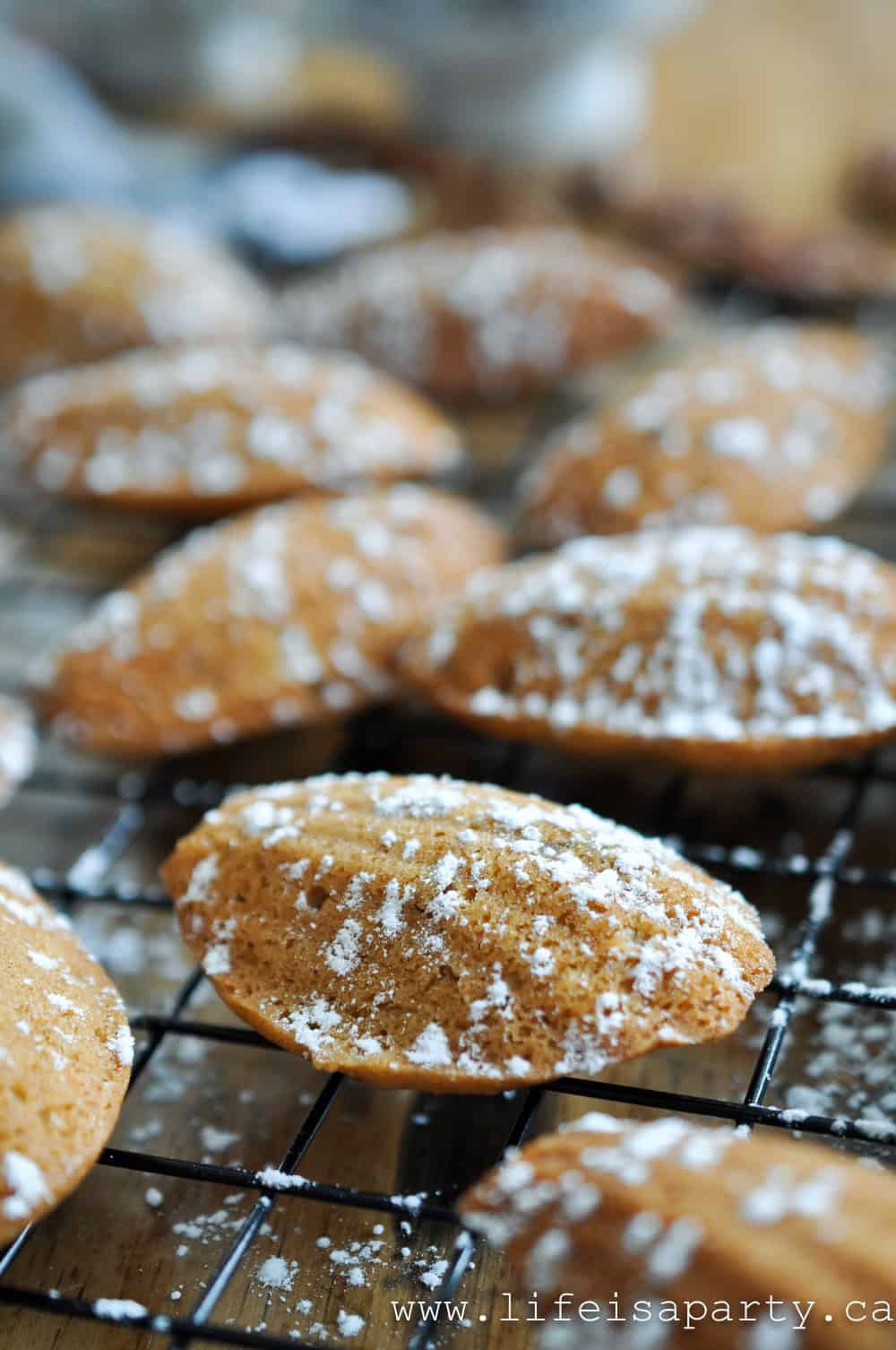 Pecan Madeleines