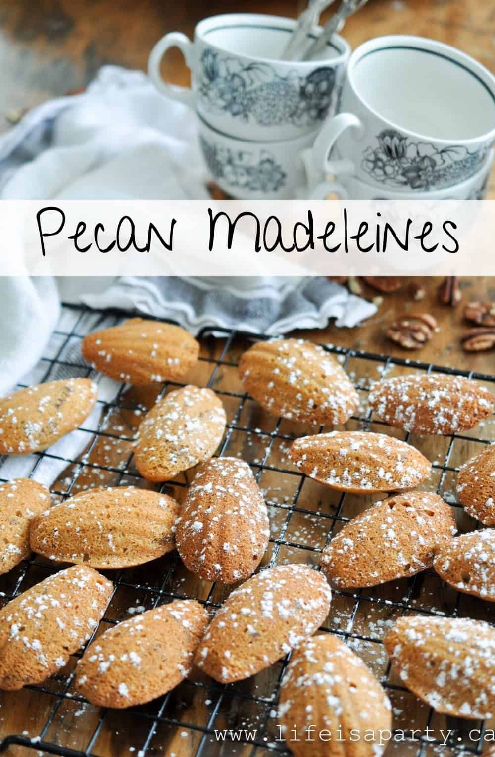 Pecan Madeleines