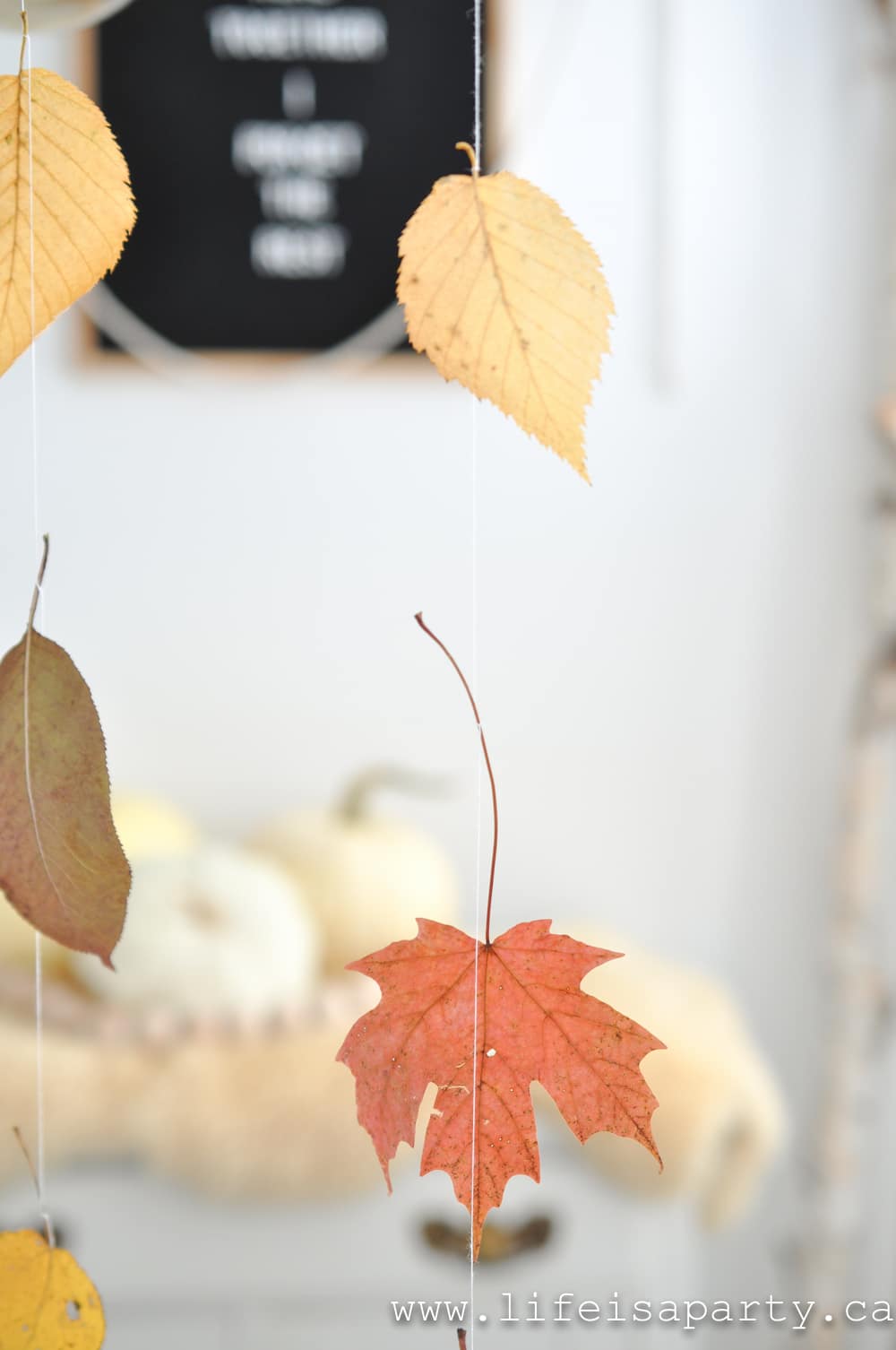 fall leaves hanging from thread