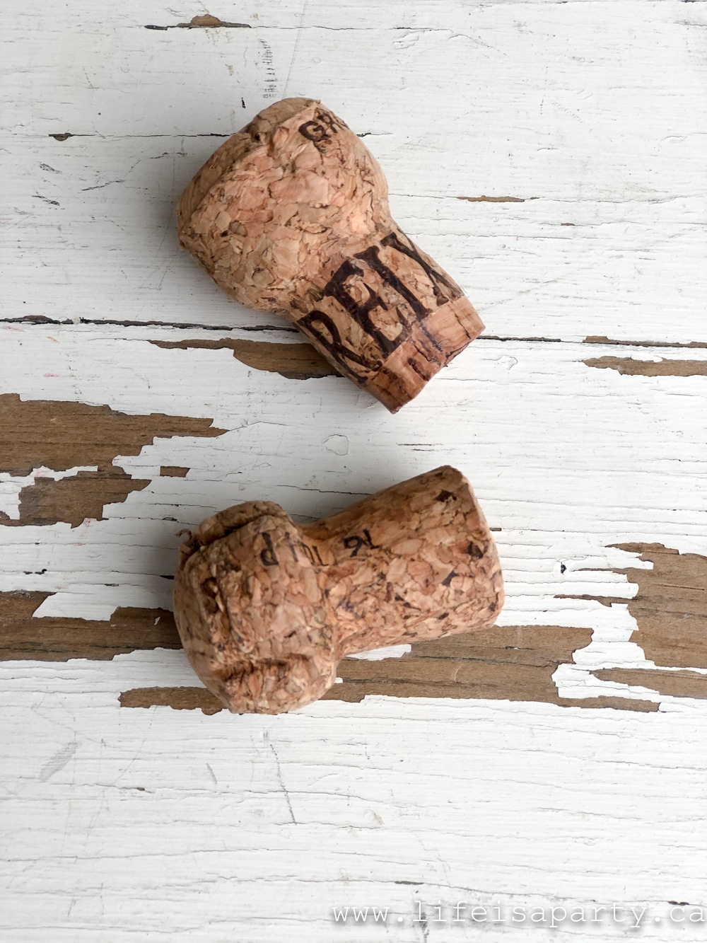 Wine Cork Mushroom