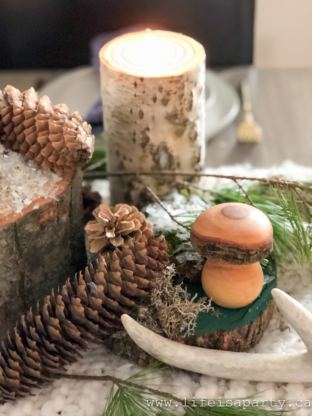 pinecone and birch candle centre piece