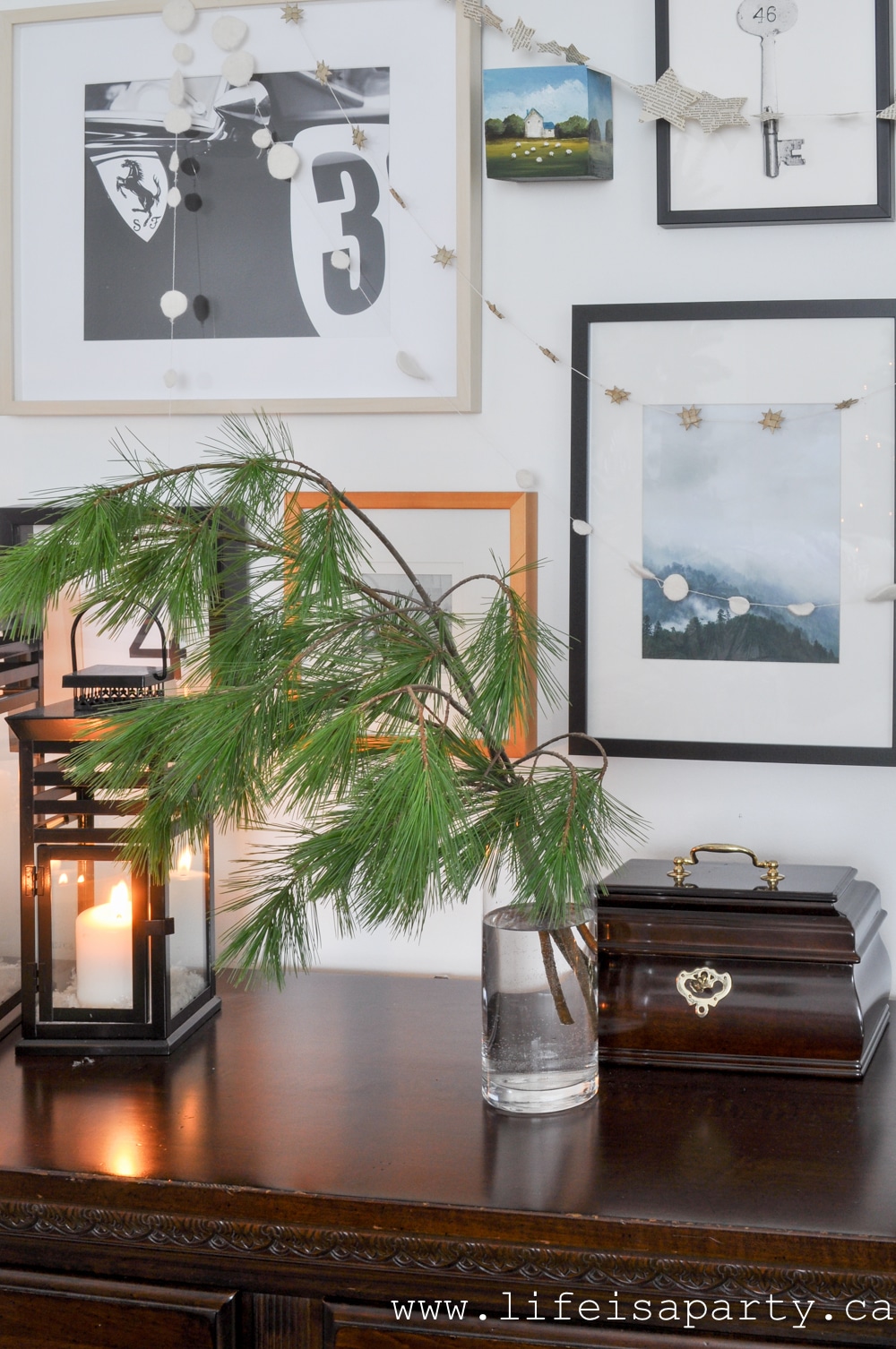 Christmas pine in a vase