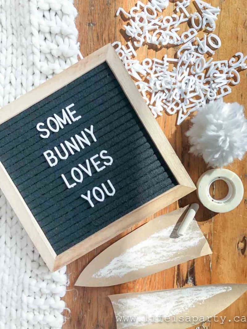 Spring Letter Board Bunny Life is a Party