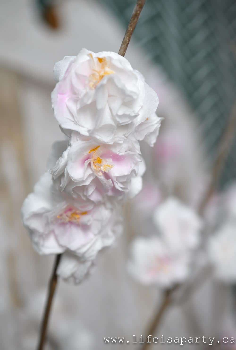 DIY paper flowers tissue Kleenex cherry blossoms