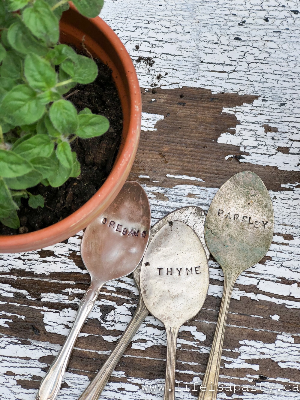 herb plant markers