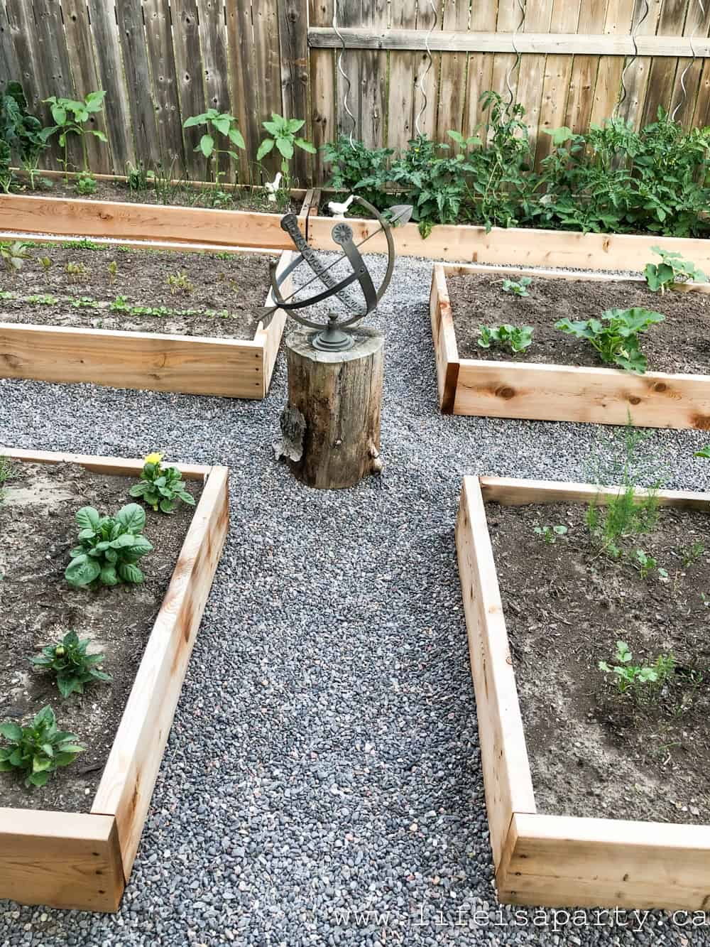 raised garden beds