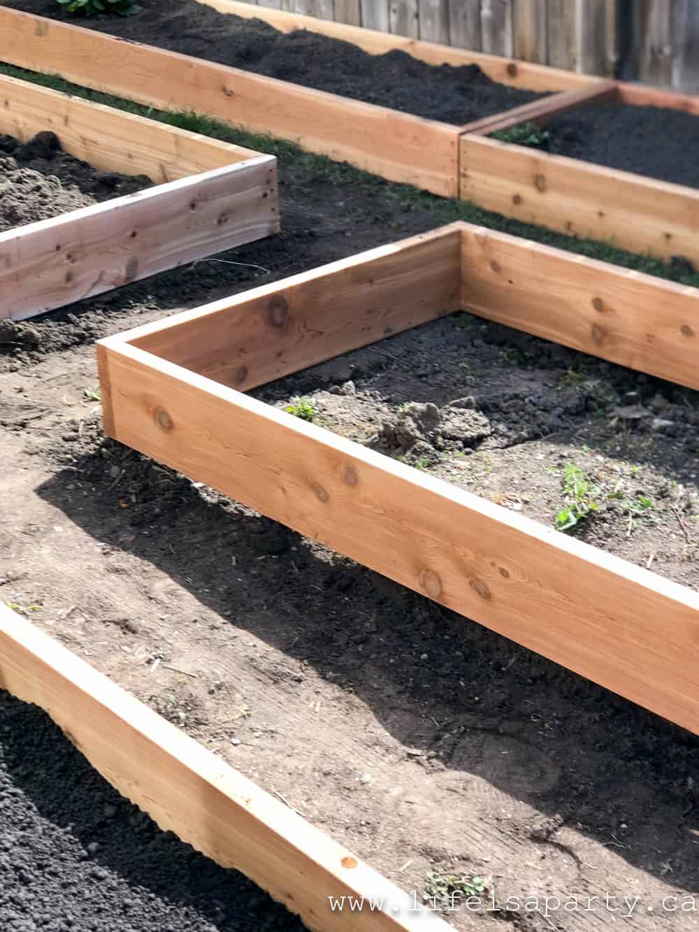 DIY raised garden beds