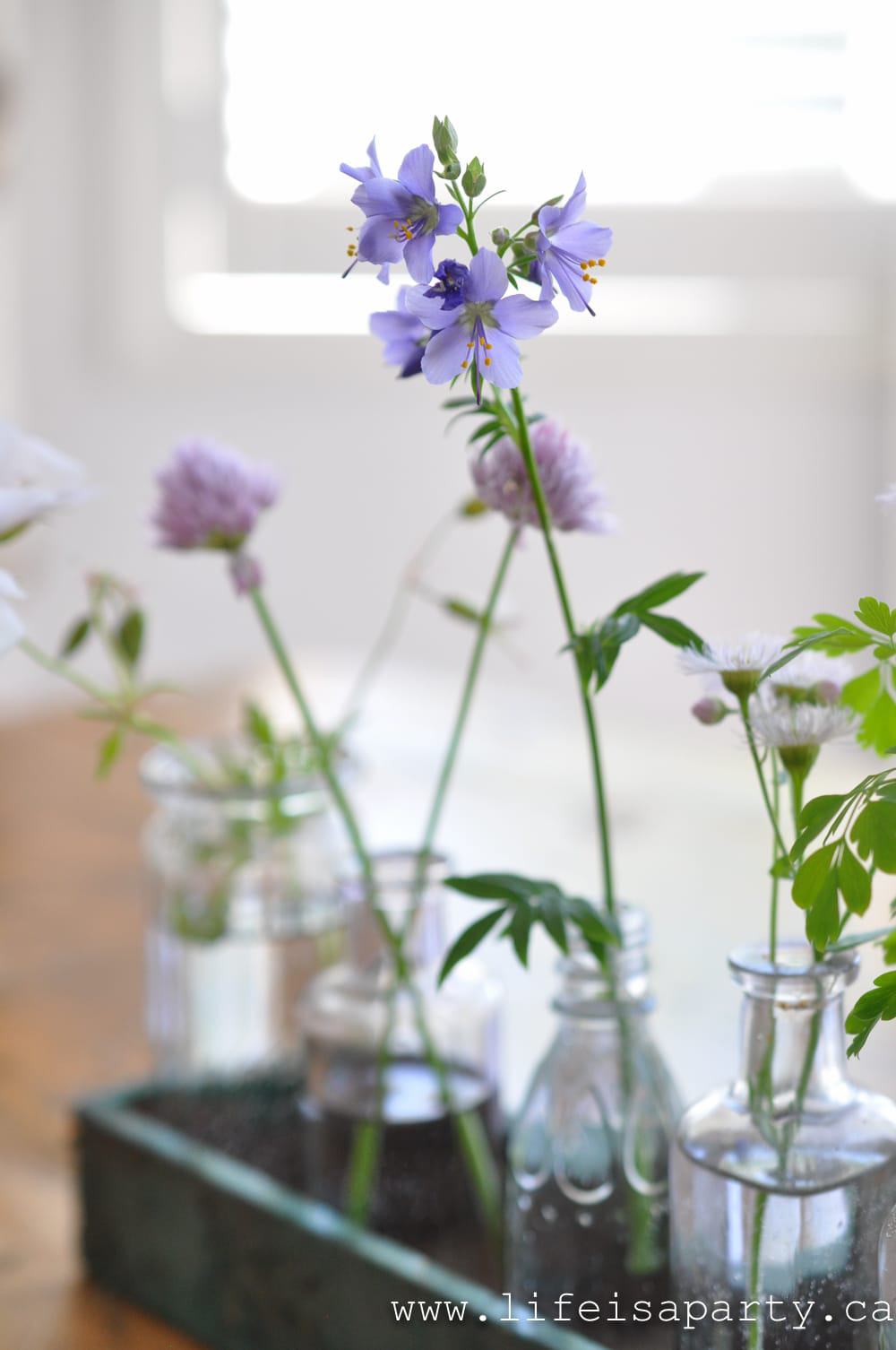 flowers in vintage bottles