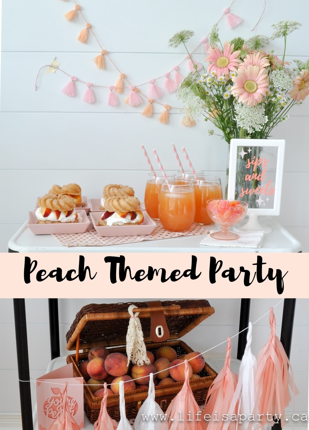 Peach Party: easy DIY peach themed party decor made with the Cricut Joy, delicious peach dessert and peach drink recipes included.
