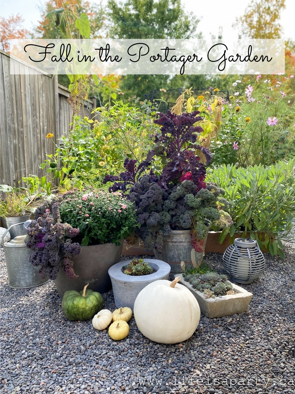 Fall Garden Ideas