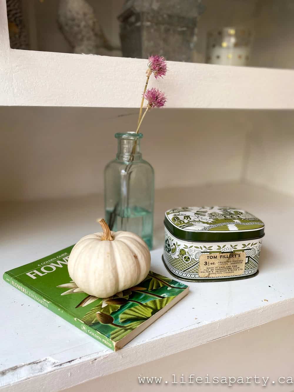 white mini pumpkin