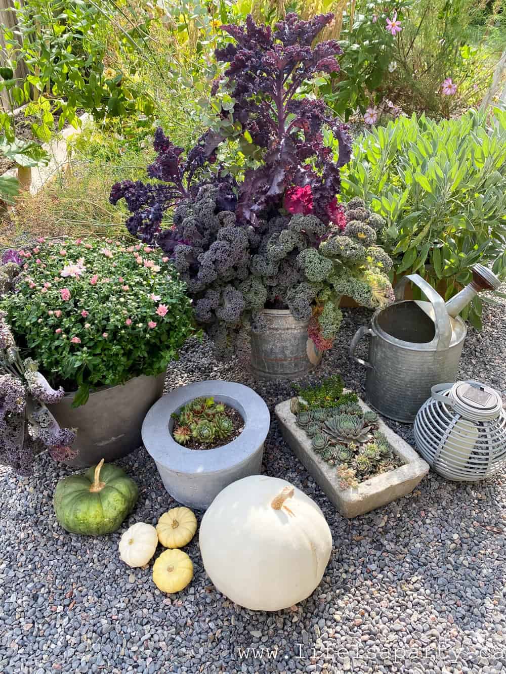 pink fall planters