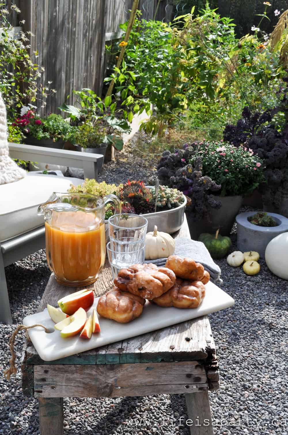 apple fritters and apple cider