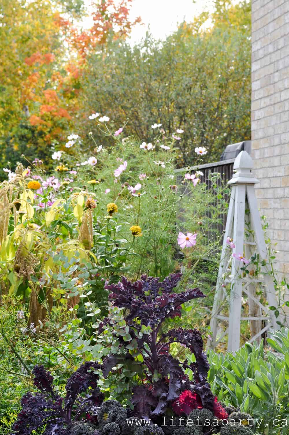 fall garden ideas