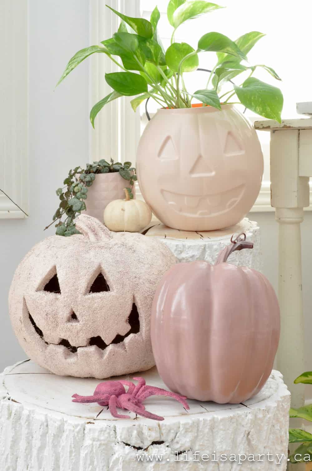 pink pumpkins