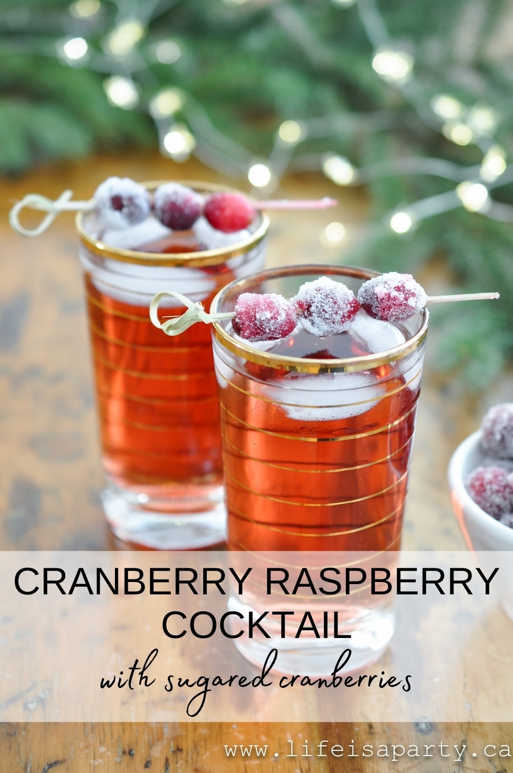 Cranberry Raspberry Cocktail: made with cranberry raspberry juice, ginger ale and vodka, add easy sugared cranberries as the perfect garnish.
