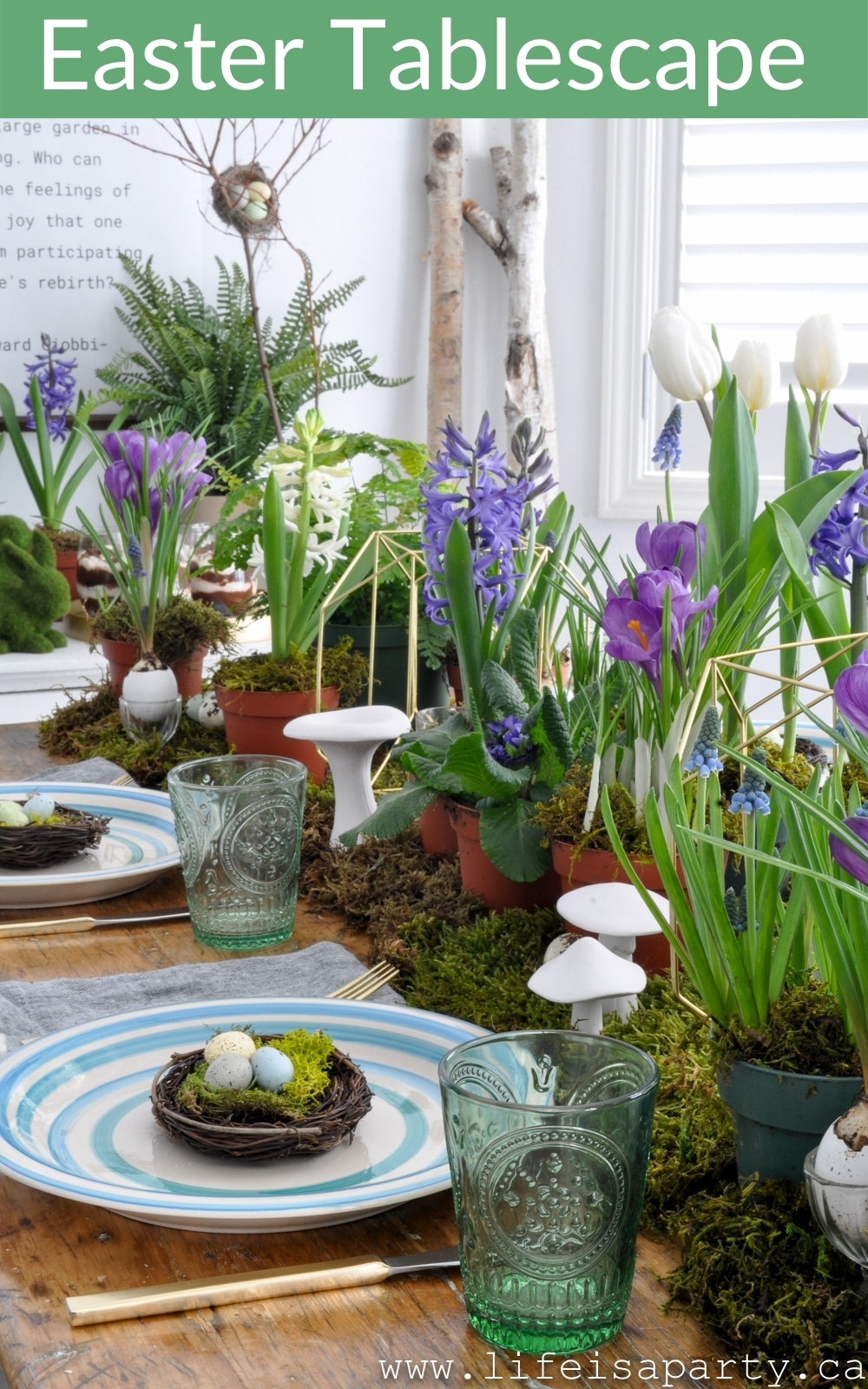 Easter Tablescape: a DIY moss table runner, spring bulbs, eggs, nests, blues, greens and purples create the perfect woodland spring table.
