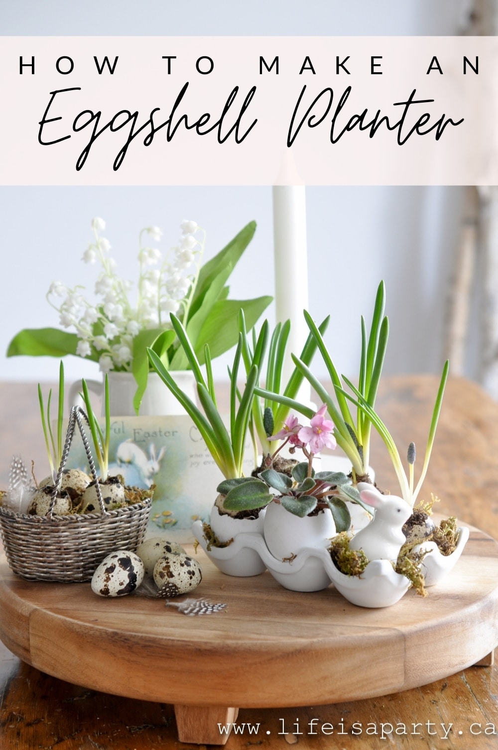 Eggshell Planter: use regular eggs to create your own mini planters. Perfect for spring decor, or as an Easter decoration.