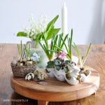 DIY eggshell planter with spring bulbs arranged in a ceramic egg holder.