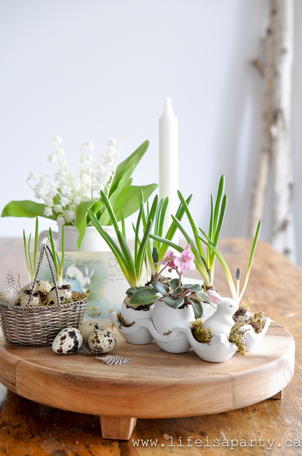 how make an eggshell planter Easter centrepiece